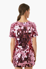 Punch Vivienne Embroidered Sequin Mini Dress