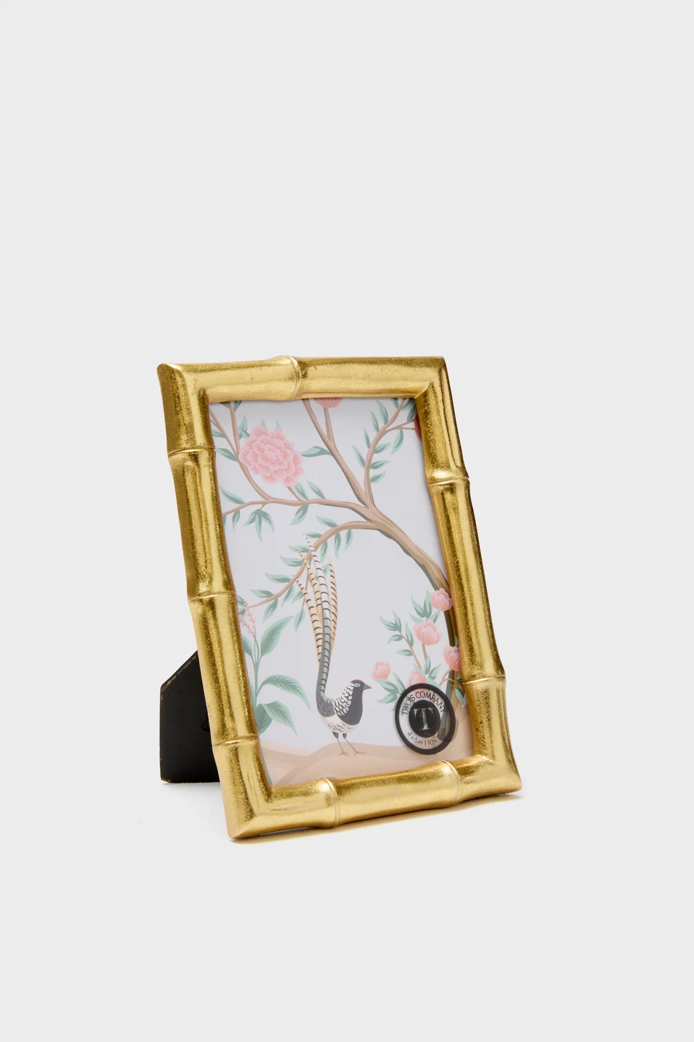 4x6 Gold Faux Bamboo Frame