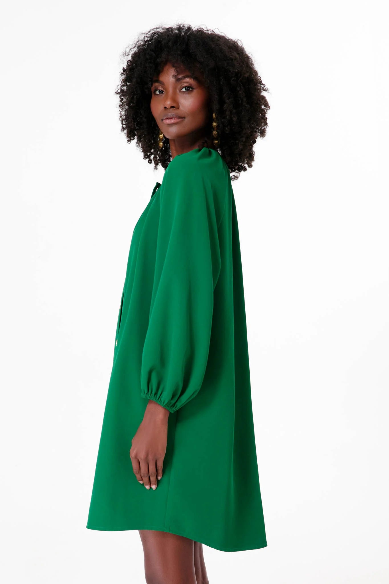 Palmetto Clarke Dress